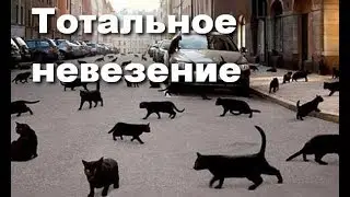 Тотальное невезение, тяжелая жизнь. Как поменять судьбу? И что для этого делать?