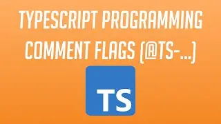 How to use the Typescript Comment Flags (@ts-ignore, @ts-check, etc...)