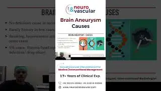 Brain Aneurysm Causes