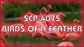 SCP 4075 - Birds of a Feather