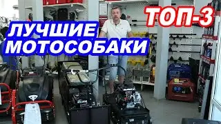 ЛУЧШИЕ МОТОСОБАКИ. ТОП-3. Что выбрать? Подробный обзор.