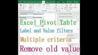 Excel Pivot Table filter (label, value, Filters,  multiple criteria or values, remove old)