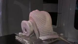 WHOLE BRAIN SIMULATION