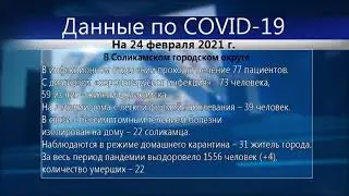 Статистика по заболеваемости коронавирусом в Соликамске на 24 февраля 2021 года