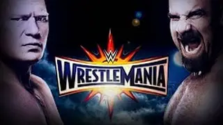 Goldberg vs Brock Lesnar WWE Wrestlemania XX