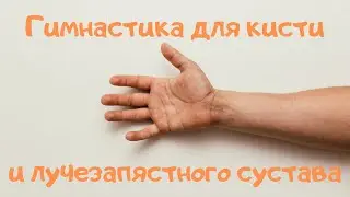 Гимнастика для кисти и лучезапястного сустава.