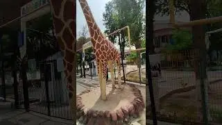 Массив Водник.Дом.Садик.Школа.Ташкент.Бектемир.
