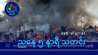 DVB Digital ညနေ ၅ နာရီ သတင်း (၈ ရက် သြဂုတ်လ ၂၀၂၄)