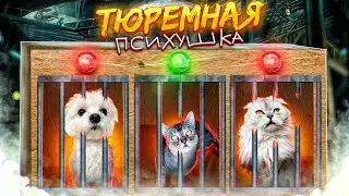 ПОБЕГ ИЗ ТЮРЕМНОЙ ПСИХУШКИ ЧЕЛЛЕНДЖ! Киса Ариела круче всех!