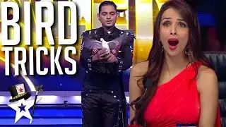 Magician Conjures BIRDS To The Stage on Indias Got Talent | Magicians Got Talent