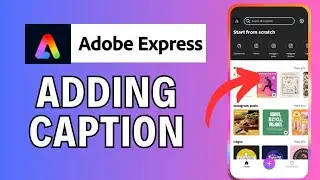 How to Add Caption in Adobe Express 2024?