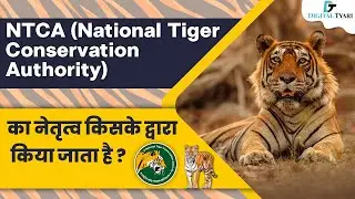 NTCA (National Tiger Conservation Authority) का नेतृत्व किसके द्वारा किया जाता है ?