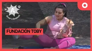 A + A - Fundación Toby (02/11/2024)