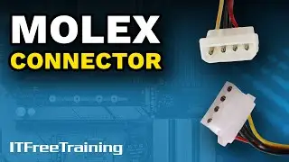 Molex Connectors - CompTIA A+ 220-1101 – 1.9