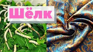 Шёлк | Как это сделано | Silk