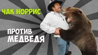 Чак Норрис побил медведя гризли