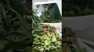 ✈️ Аэропорт Байюнь в Гуанчжоу Китай  ✈️  Красота и чистота, но ничего не понятно 🙈