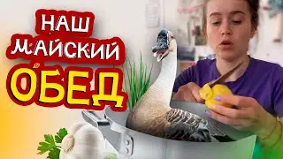 НАШ МАЙСКИЙ ОБЕД