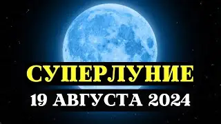 СУПЕРЛУНИЕ, МОЩНЕЙШИЙ ЭНЕРГЕТИЧЕСКИЙ ДЕНЬ, ПОЛНОЛУНИЕ 19 АВГУСТА 2024, ПРАКТИКИ И РИТУАЛЫ ДЛЯ ЗНАКОВ