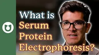 What is a Serum Protein Electrophoresis (SPEP)?