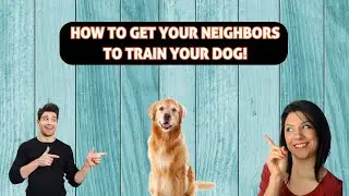 HOW to get your neighbors to train your dog!