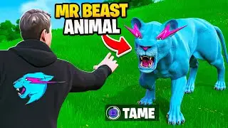 I Opened FREE YouTuber Pet Store in Fortnite!