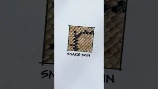 how to draw snake scales | 