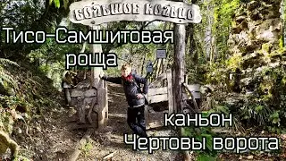 Тисо-Самшитовая роща и каньон Чертовы ворота #сочи #туризм