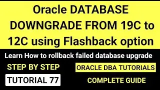 Oracle Database Downgrade from 19c to 12c using flashback database option