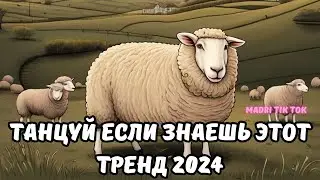 💗ТАНЦУЙ ЕСЛИ ЗНАЕШЬ ЭТОТ ТРЕНД 2024💗