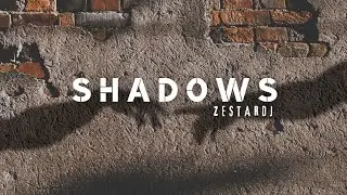 ZestarDJ- Shadows (Official audio 2024) bacardi