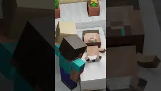 Steve Jr 