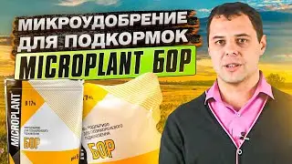 Новинка от ТД Киссон. Микроудобрение для внекорневых подкормок Microplant Бор