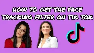 HOW TO GET THE FACE TRACKING FILTER ON TIK TOK