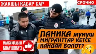 МИГРАНТ кадыры БИЛИНДИ 👍 Айлыктар жогорулады