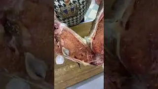 🐟ДОНСКОЙ ЛЕЩ 🟠 МОРЕ СЮРПРИЗОВ 