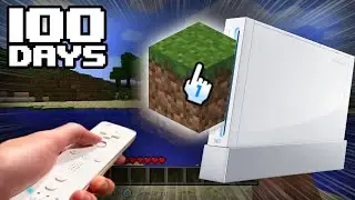 I Spent 100 Days in Minecraft Wii
