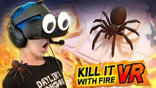 KIWF but the spiders actually jump on you! KILL IT WITH FIRE VR