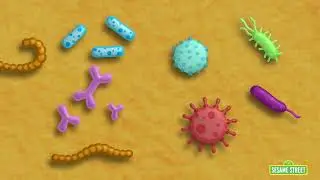 What Are Germs?