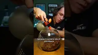 recreating a terrarium containing hundreds of bugs