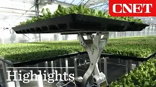 Watch Amazon's Greenhouse Robot Deliver Fresh Produce