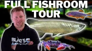 Breeding 1000's of Rare Fish in my Garage - Blake's Aquatics Full Fishroom Tour - 50+ Tanks