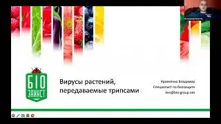 Трипс и вирусы