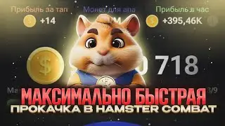 ПРОКАЧАЙ СВОЕГО ХОМЯКА НА МАКСИМУМ // HAMSTER KOMBAT