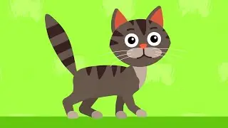 🐱 КОТИК ПОЛОСАТЫЙ 🐾 Милый сборник про животных - Песенки - Друзья лохматые, Животные, Цветочки