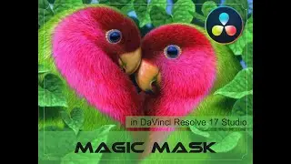 Magic Mask in DaVinci Resolve 17 Studio Version