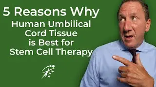 5 Reasons Why Human Umbilical Cord Tissue is Best for Stem Cell Therapy