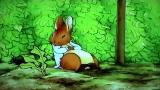 The Tale of Peter Rabbit ✿