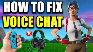 How To Fix Fortnite Voice Chat Not Working On Nintendo Switch - 2024