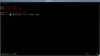 Update Line Without Having to Clear Screen - Linux - Shell Script - BASH